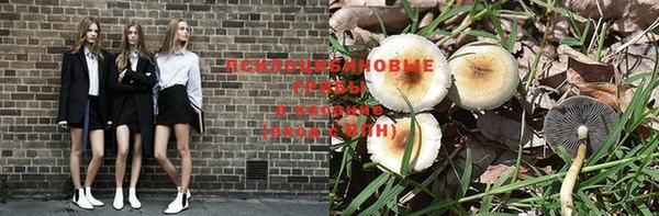 спайс Абдулино