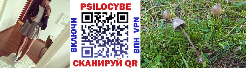 Псилоцибиновые грибы Psilocybe  Чебаркуль 